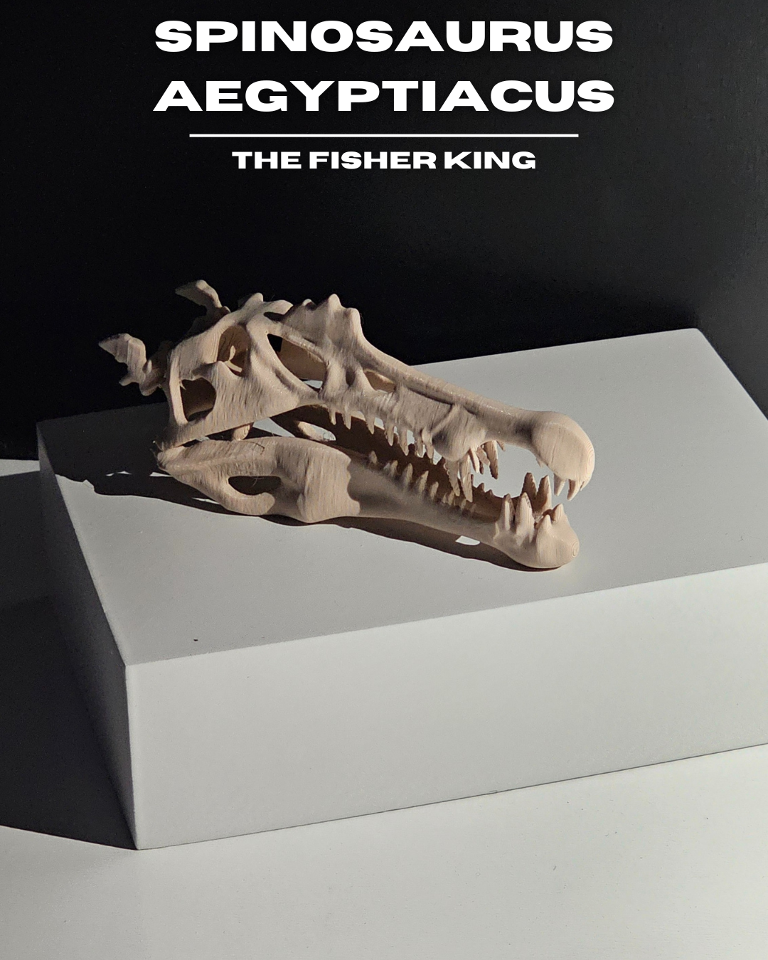 Spinosaurus Aegyptiacus