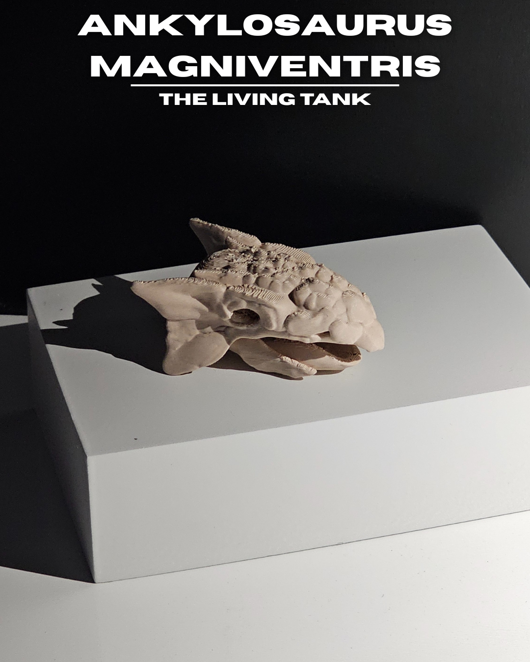 Ankylosaurus Magniventris