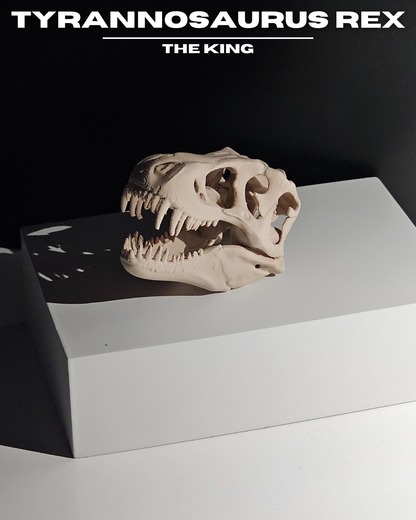 Tyrannosaurus Rex