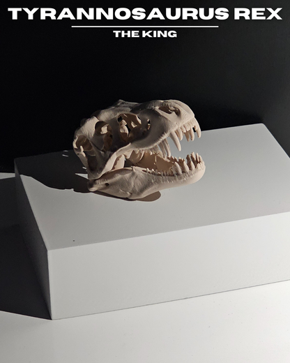 Tyrannosaurus Rex