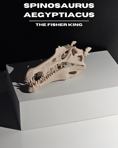 Spinosaurus Aegyptiacus