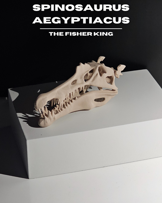 Spinosaurus Aegyptiacus