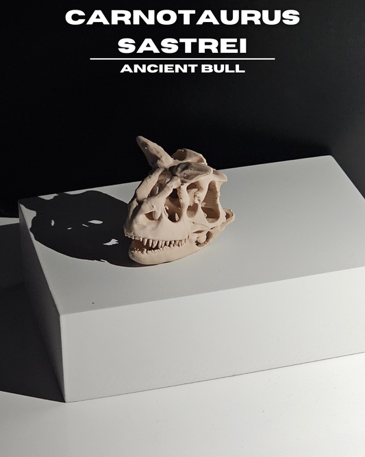 Carnotaurus Sastrei