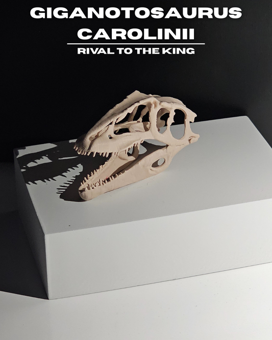 Giganotosaurus Carolinii