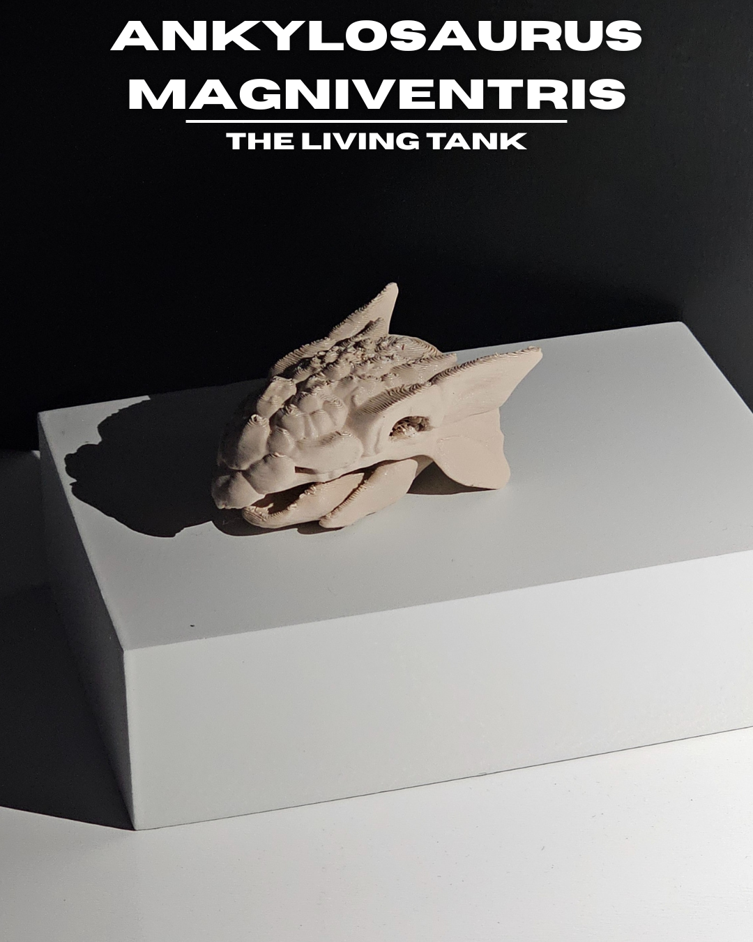 Ankylosaurus Magniventris