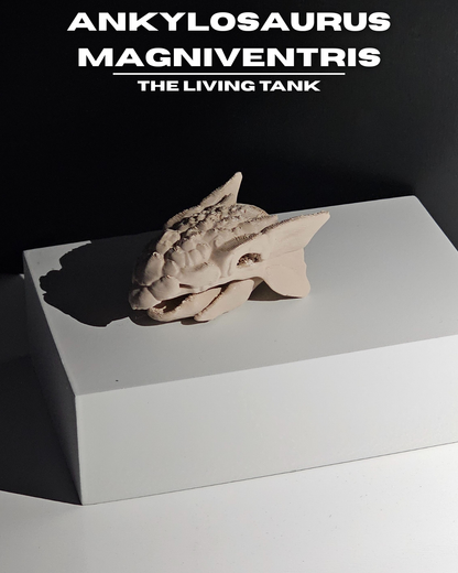 Ankylosaurus Magniventris