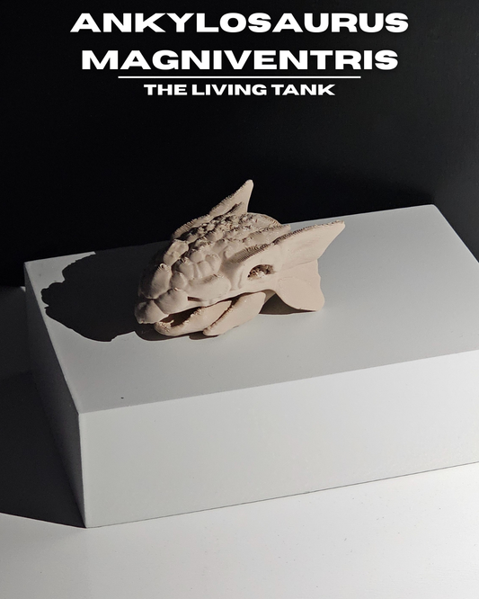 Ankylosaurus Magniventris