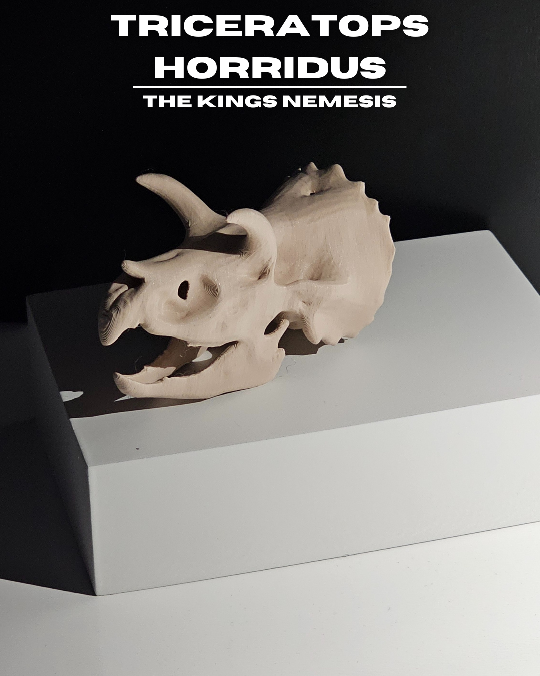 Triceratops Horridus