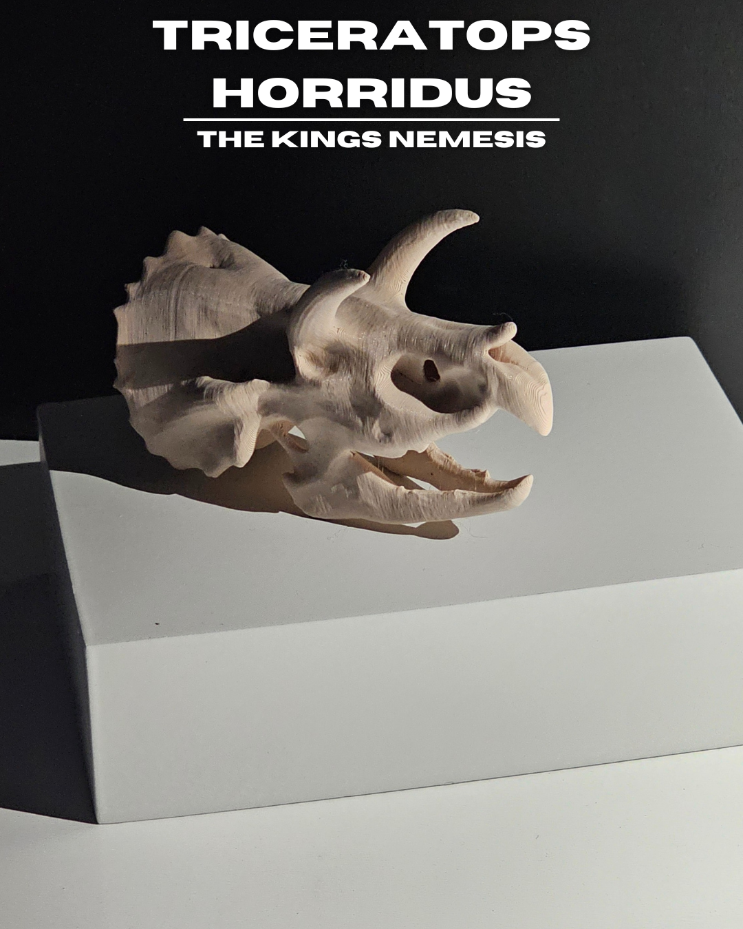 Triceratops Horridus