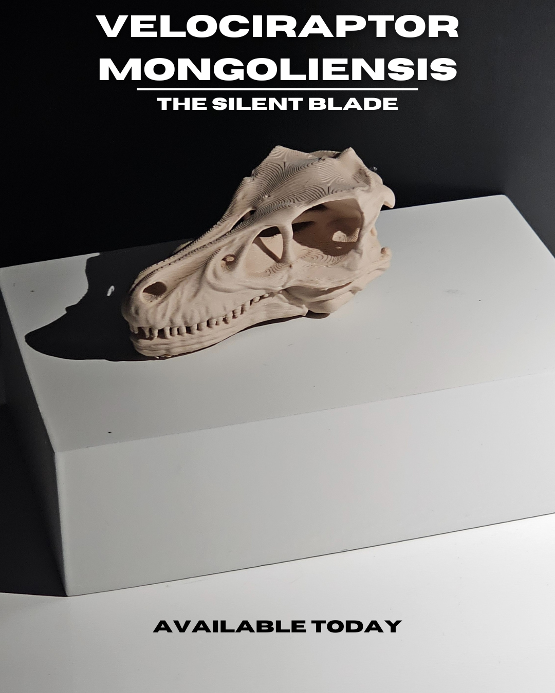 Velociraptor Mongoliensis