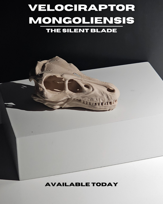 Velociraptor Mongoliensis